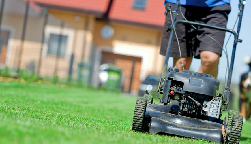 Manutenzione giardini e aree verdi a Bologna